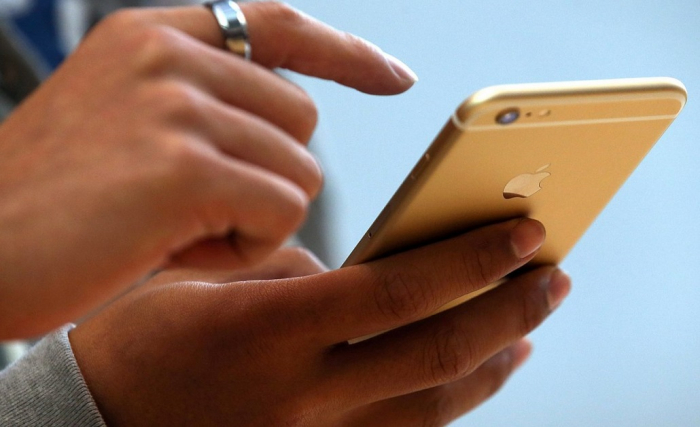 Закарпатські лісівники інформують: як власники iPhone зможуть перевірити легальність ялинки?