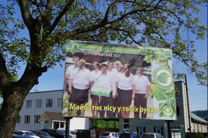 Нові 42,9 гектара лісових культур створено на Закарпатті