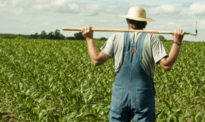 Що мають знати сімейні фермери Закарпаття про нові правила від нардепів