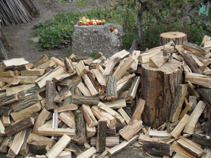 Зима не за горами: жителі Закарпаття вже запасаються дровами