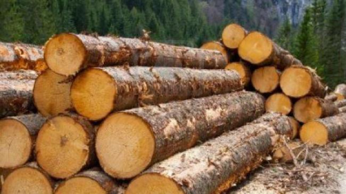 Експорт лісу-кругляка за кордон можуть дозволити?