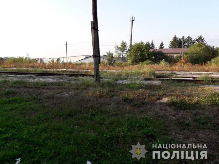 Іногородні "розбійничають" у закарпатському Тячеві!