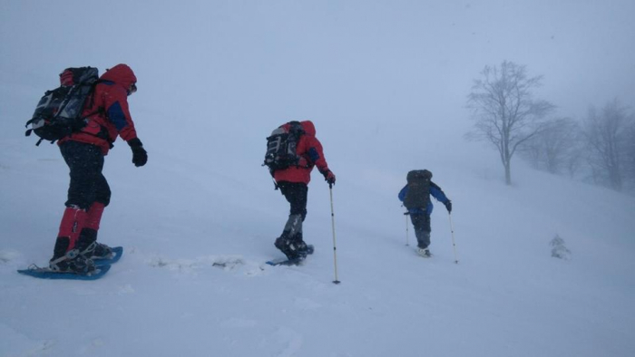 Пошуки туриста-лижника, який зник ще 6 січня у горах Міжгірщини, тривають (ФОТО, ВІДЕО)