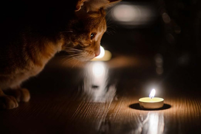 Планове відключення: де цього тижня на Закарпатті не буде світла