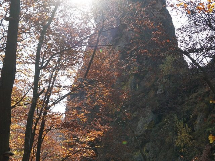 «Смерековий камінь» – візитівка Іршавського НПП «Зачарований край» (ВІДЕО)