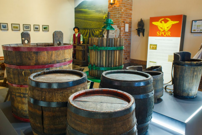 Музей виноградарства і виноробства: мета – вписати Закарпаття на карту світу як виноробний регіон (ФОТО)
