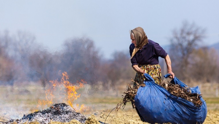 Закарпатський еколог розповів про загрозу спалювання опалого листя (ВІДЕО)