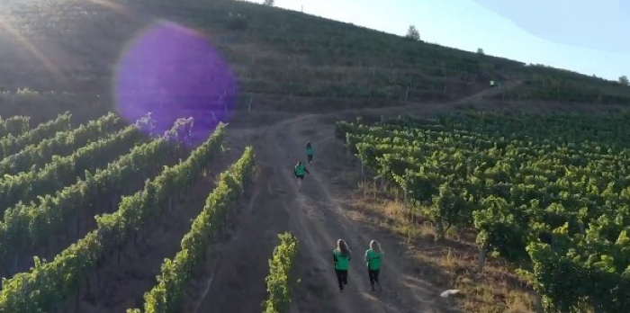 Відео дня: забіг на виноградниках під Береговом