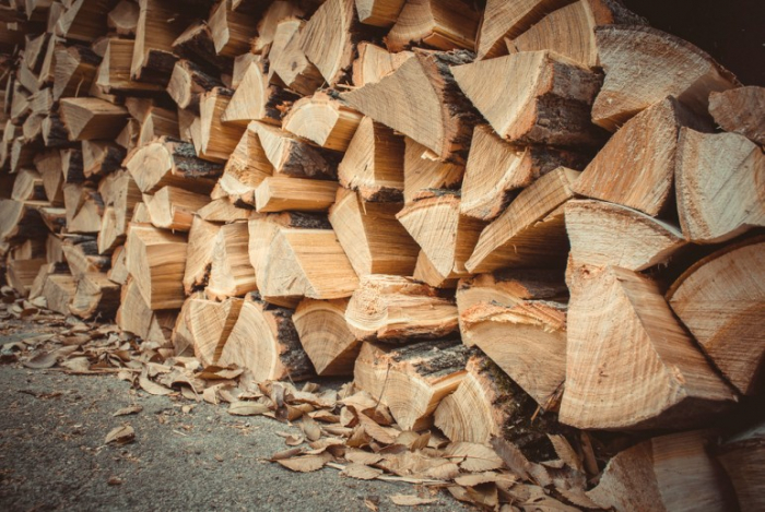 Лісівники Закарпаття оприлюднили нові ціни на дрова