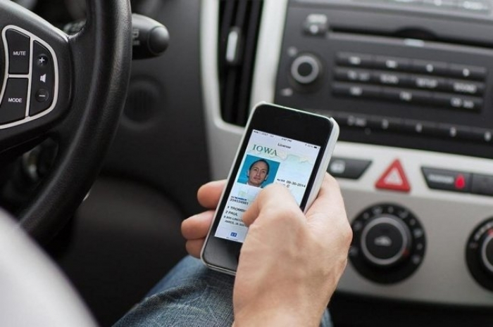 Стало відомо, коли закарпатці зможуть використовувати водійські права у смартфоні
