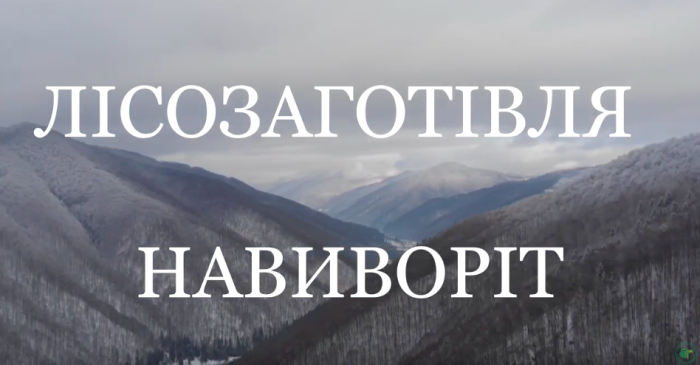 Як закарпатські лісівники займаються заготівлею деревини (ВІДЕО)