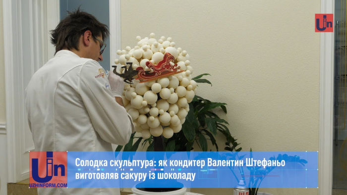 Ужгородський кондитер Валентин Штефаньо виготовляв сакуру із шоколаду (ВІДЕО)