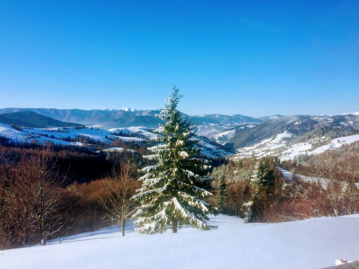 Прогноз погоди в Закарпатті на середу