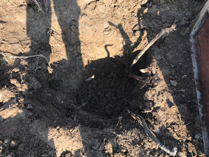 Сніг зійшов: на Закарпатті прикордонники затримали копачів кабелю