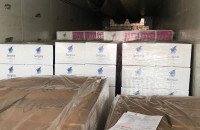 Закарпатські митники припинили схему ввезення ліків із завищеними цінами на півмільйона Євро