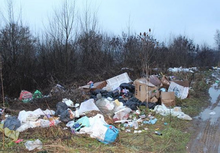Скільки стихійних сміттєзвалищ ліквідували на Закарпатті торік?