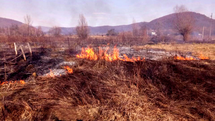 Рятувальники вкотре закликають закарпатців не палити суху траву