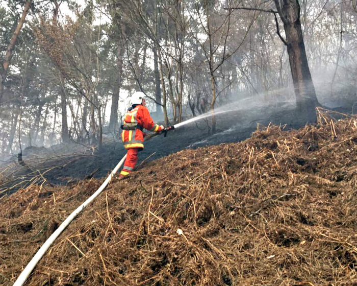 Закарпаття у вогні: в краї за добу зафіксовано 15 пожеж