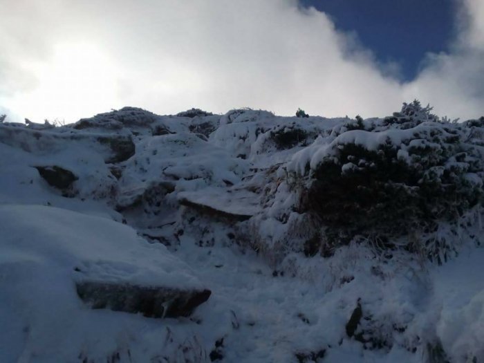 Сьогодні гірські райони Закарпаття присипле мокрим снігом
