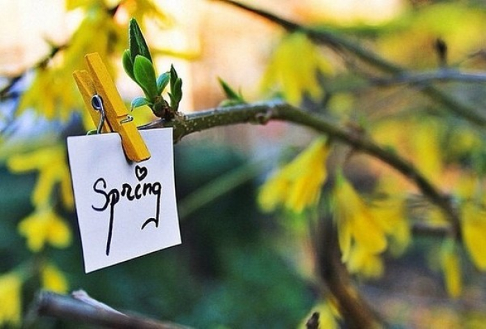 Нарешті весна: закарпатцям радять, як підготуватися до довгожданої пори (ВІДЕО)