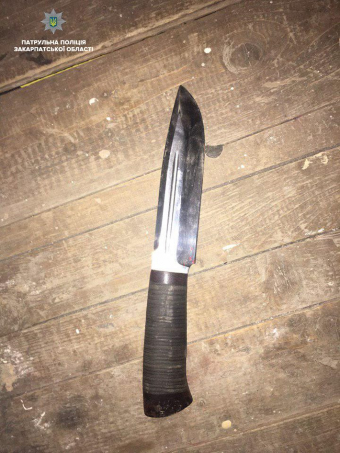 В Ужгороді патрульні затримали чоловіка, який псував ножем чуже майно