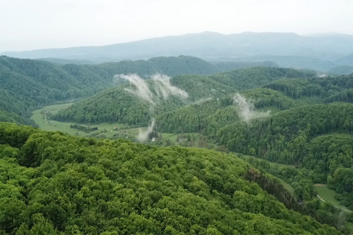 "Зелені легені" планети з висоти пташиного польоту – фото та відео від закарпатських лісівників