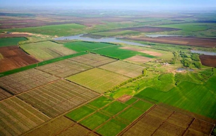 Як закарпатські учасники бойових дій використовують надані земельні ділянки