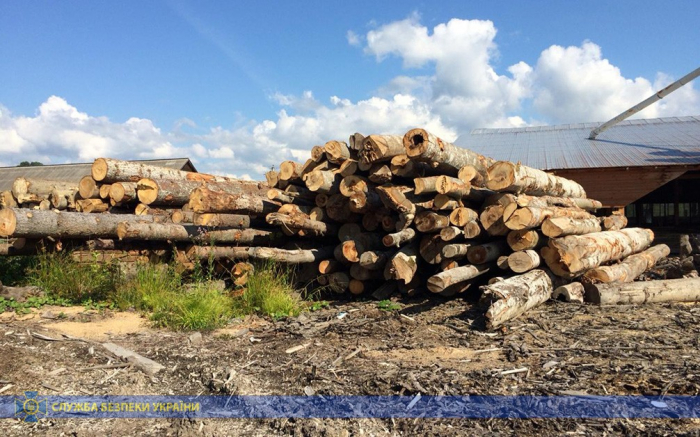 Заблоковано масштабне розкрадання деревини на Закарпатті