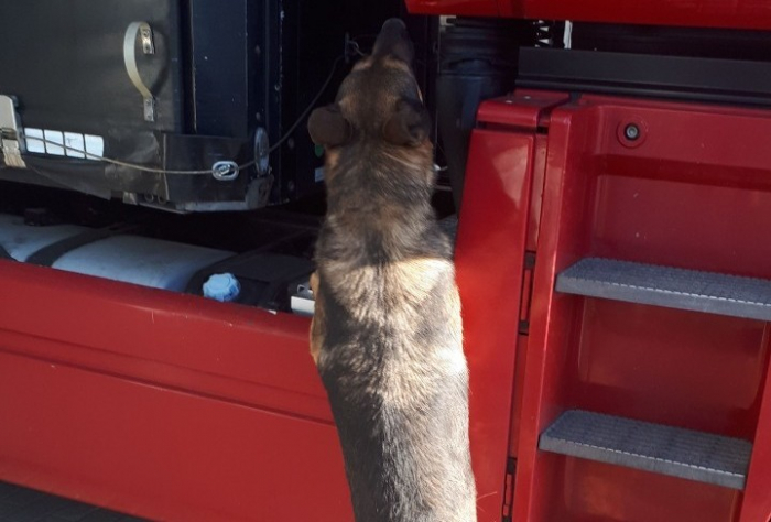 На Закарпатті собака прикордонників винюхав партію складових до автомата АК-74 у вантажівці