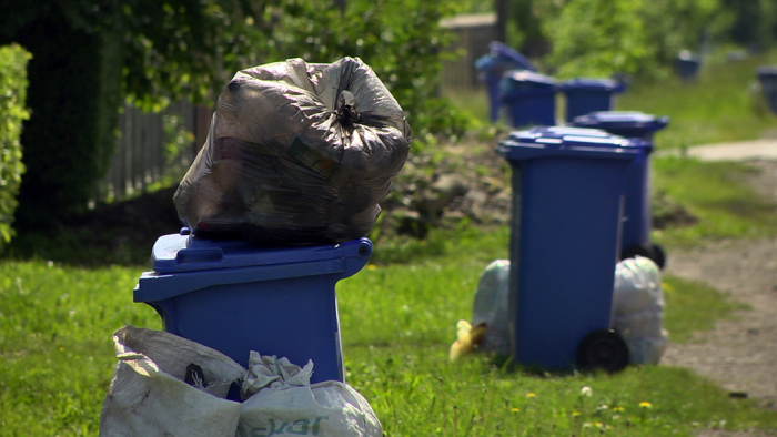 Уже 23 день не вивозять сміття з населених пунктів Виноградівського району