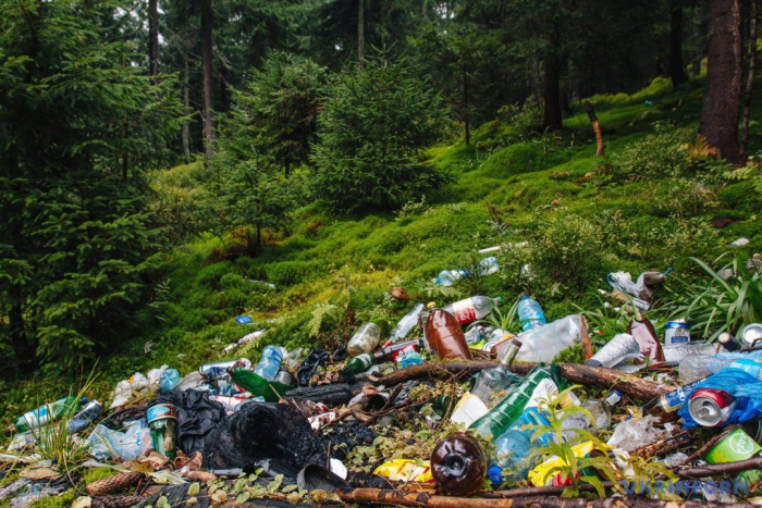 З’явився додаток, що допоможе прибирати сміття в горах на Закарпатті