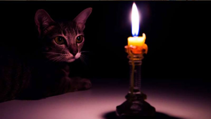 Де чекати на відключення світла на Закарпатті цього тижня (ГРАФІК)