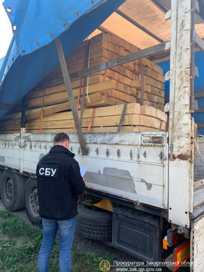На Закарпатті прокуратура спільно з СБУ припинили схему незаконного вивезення деревини за кордон 
