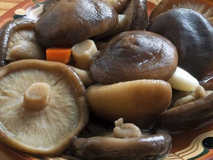 На Ужгородщині почали вирощувати шиітаке. Чим корисний цей вид грибів?