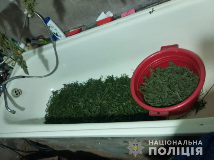На Рахівщині копи виявила плантацію наркотичних рослин у місцевого "наркобарона"