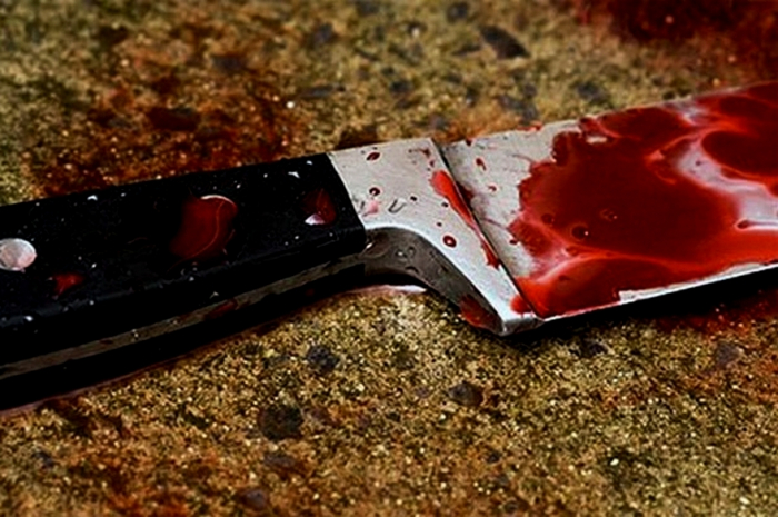 Впала з ножем: на Іршавщині жінка померла в кареті швидкої від втрати крові