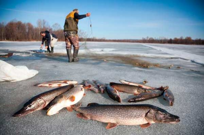 Плануєте зимову риболовлю? Спершу ознайомтеся з правилами безпеки