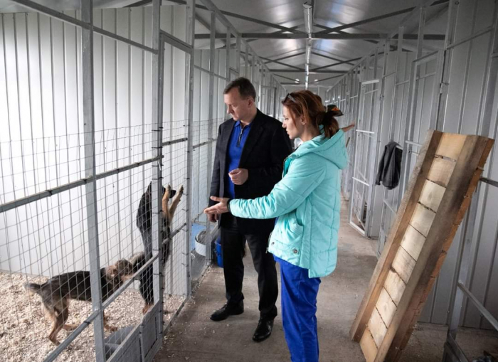 Ужгород: перші "квартиранти" вже живуть у новій будові, зведеній у притулку для тварин, яким опікується "Барбос" ФОТО