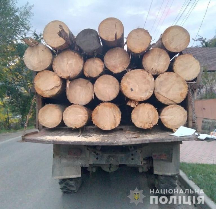 У Рахові поліція розслідує факт незаконного перевезення деревини