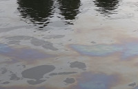 Офіційно - щодо забруднення річки Уж в Ужгороді. Що показали проби води?