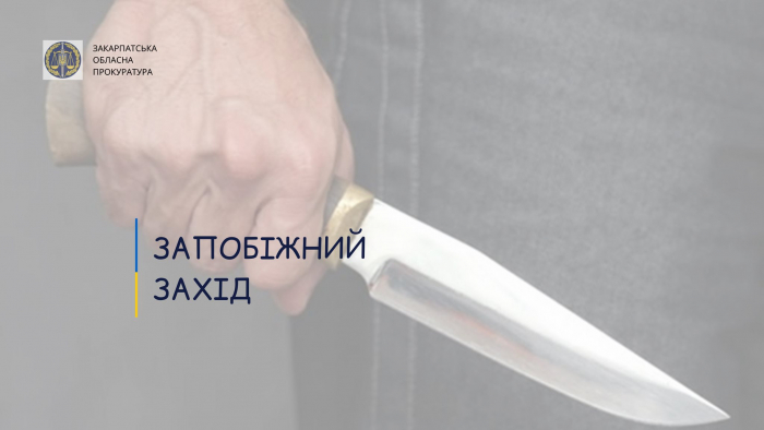 На Виноградівщині 19-річний хлопець порізав ножем власного батька