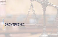 За розбійний напад на мешканку Берегова закарпатець відсидить 8 років за ґратами
