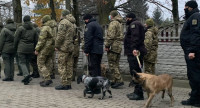 7 років на КПП "Ужгород": як служать кінолог та його собака
