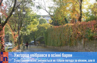 Ужгород увібрався в осінні барви (ВІДЕО)