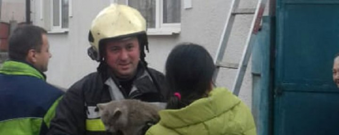Дві доби з даху будинку у Хусті не могли зняти кота
