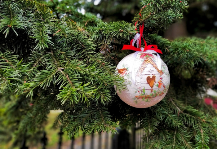 В Ужгороді відкрились новорічні ярмарки з продажу ялинок та різдвяних прикрас