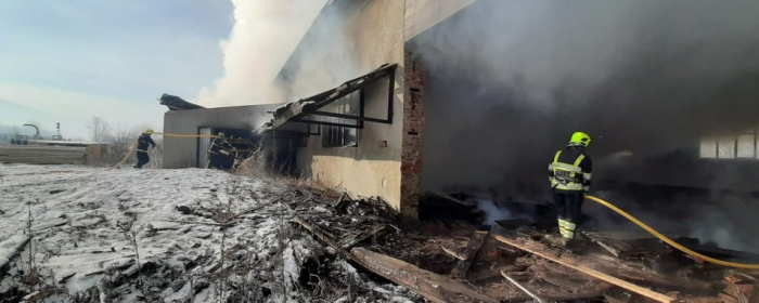 Пожежа на деревообробному комбінаті на Закарпатті: загорілася тирса в занедбаному цеху