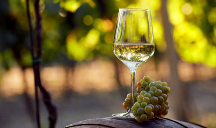 Закарпатським малим виноробам: спрощено процедуру отримання ліцензії на виробництво алкоголю