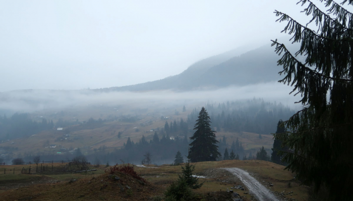 Прогноз погоди в Закарпатті на початок тижня 