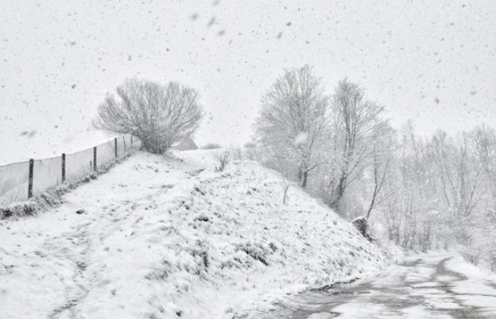 Попри календарну весну гірські райони Закарпаття в снігу